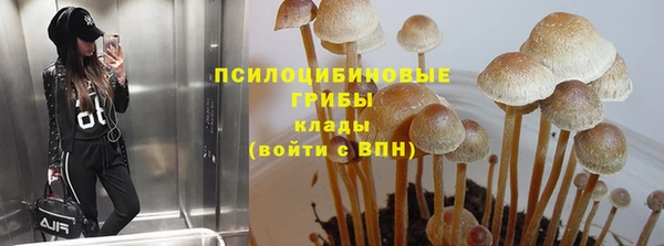 каннабис Инта