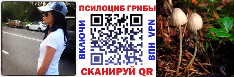 Купить закладки  Светогорск  Псилоцибиновые грибы ЛСД 
